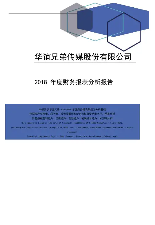 华谊兄弟传媒股份有限公司2018年度财务报表分析报告