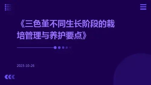 三色堇不同生长阶段的栽培管理与养护要点