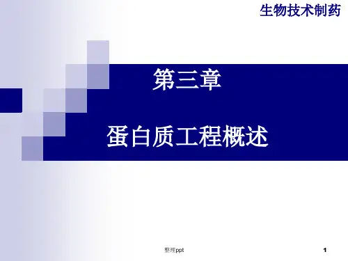 《蛋白质工程概述》PPT课件