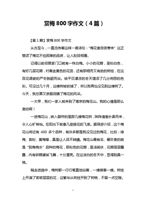 赏梅800字作文(4篇)