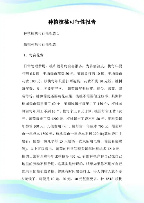 种植核桃可行性报告.doc