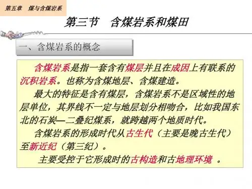 第五章煤与含煤岩系第三节