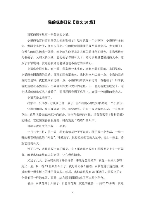 精选猫的观察日记【范文10篇】