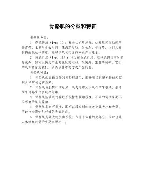 骨骼肌的分型和特征