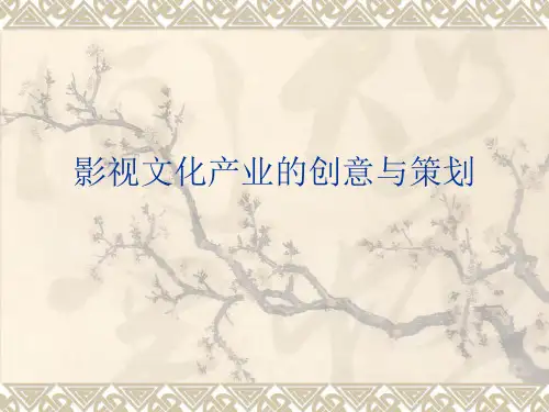 影视文化产业的创意与策划.ppt