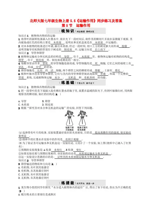 北师大版七年级生物上册5-5《运输作用》同步练习及答案