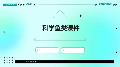 科学鱼类课件ppt