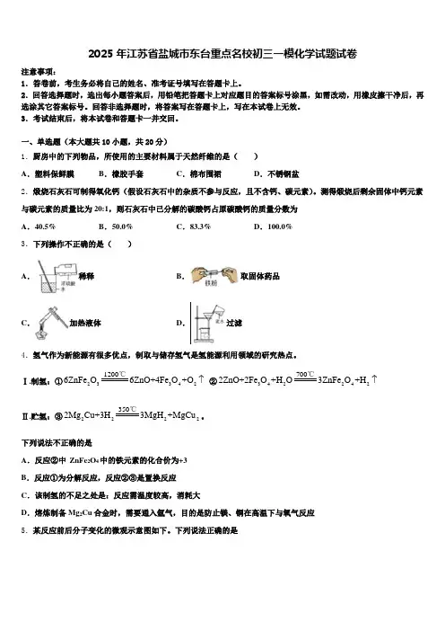 2025年江苏省盐城市东台重点名校初三一模化学试题试卷含解析