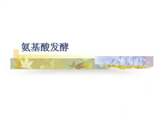 发酵工程 15-2氨基酸发酵