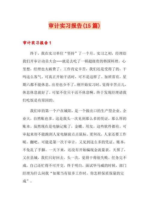 审计实习报告(15篇) 2