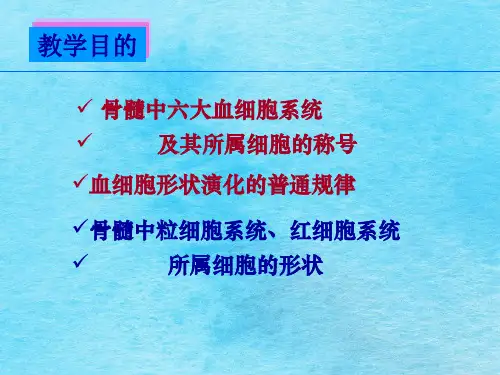 正常血细胞形态医学ppt课件