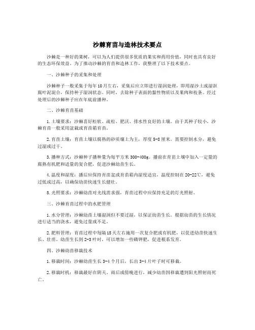沙棘育苗与造林技术要点