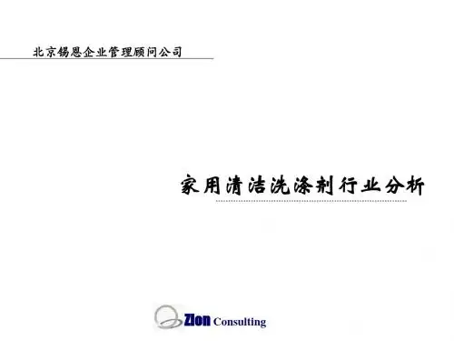行业分析-家用清洁洗涤剂行业分析课件(PPT39页)