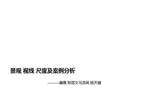 重庆大学场地设计景观-视线-尺度分析