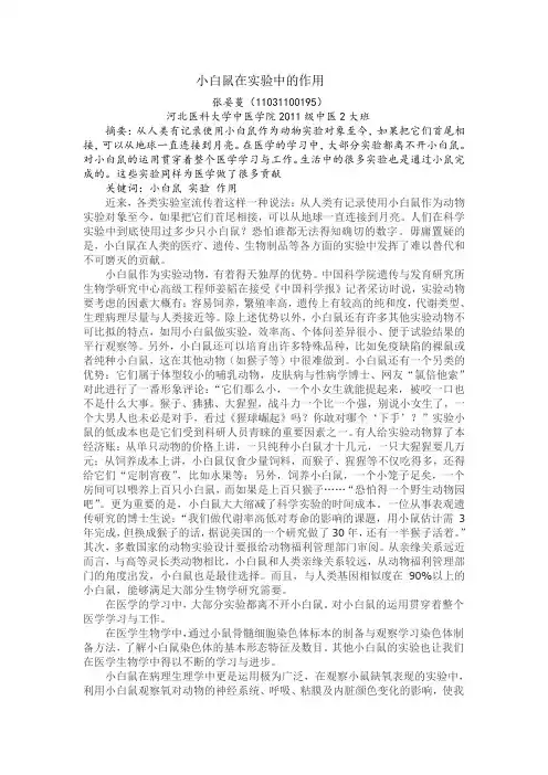 小白鼠在实验中的作用