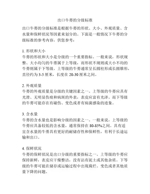 出口牛蒡的分级标准