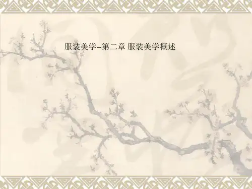 服装美学--第二章 服装美学概述