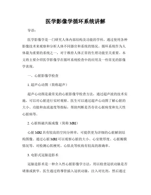 医学影像学循环系统讲解