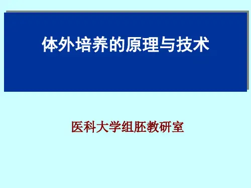 细胞分离与纯化.ppt