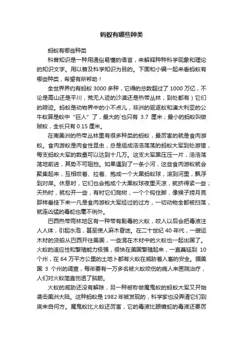 蚂蚁有哪些种类