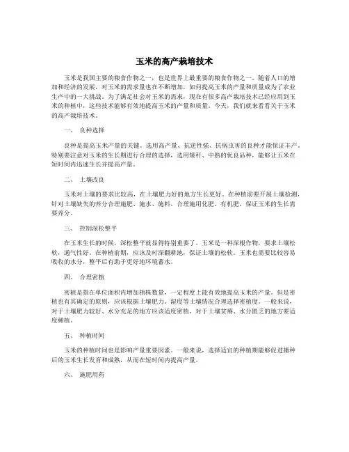 玉米的高产栽培技术