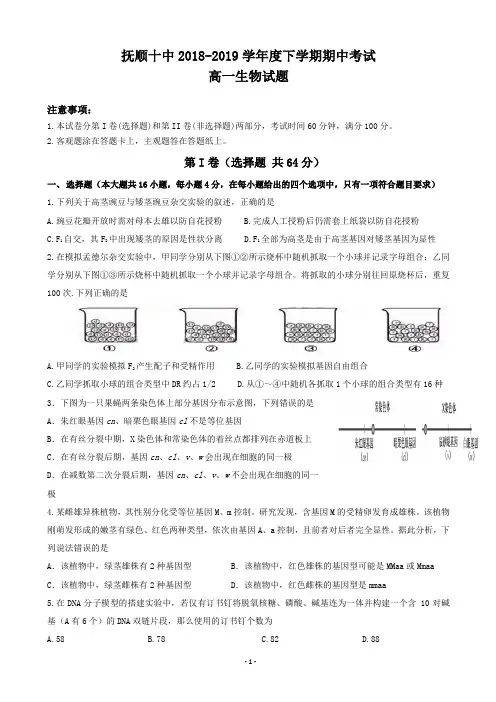 2018-2019学年辽宁省抚顺市第十中学高一下学期期中考试生物试题