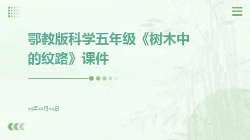 鄂教版科学五年级《树木中的纹路》课件