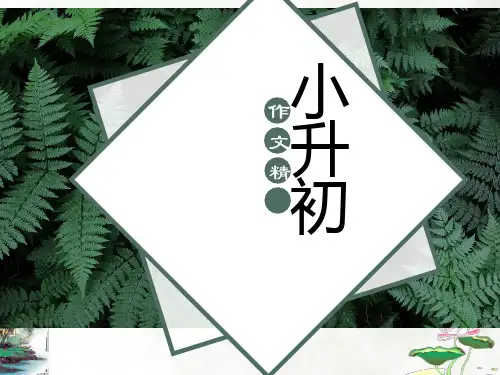 六年级下册《小升初作文精讲》课件(共34张PPT)