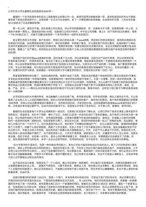 公司打杂大学生暑期社会实践报告3000字