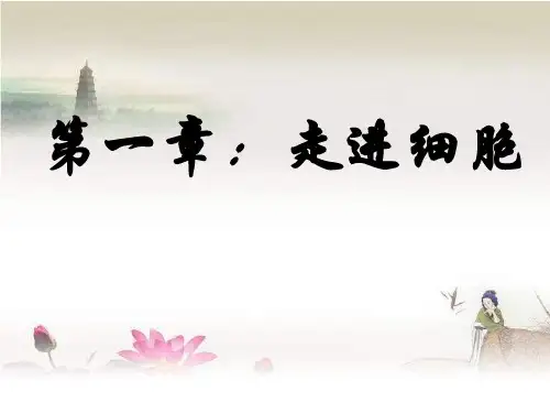 人教版高中生物必修一第一章第一节走进细胞 PPT
