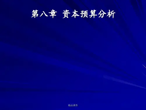 财务管理008资本预算分析