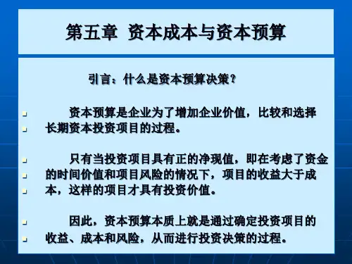 资本成本与资本预算
