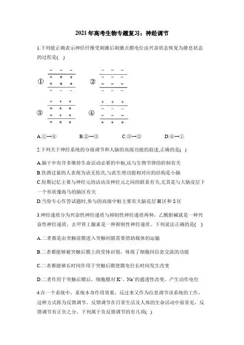 2021年高考生物专题复习：神经调节