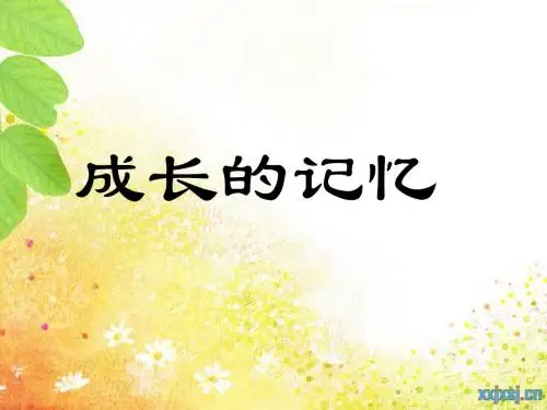 珍藏的记忆.ppt第一单元
