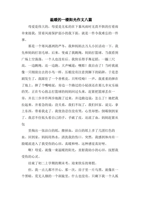 温暖的一缕阳光作文八篇.doc