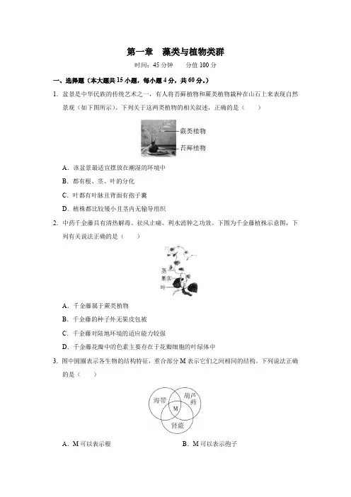 2.1++藻类与植物的类群++单元测试-2024-2025学年人教版生物七年级上册 (1)