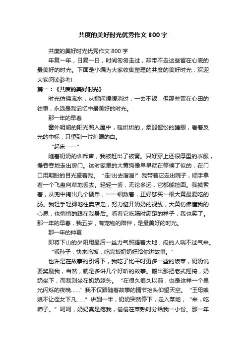 共度的美好时光优秀作文800字