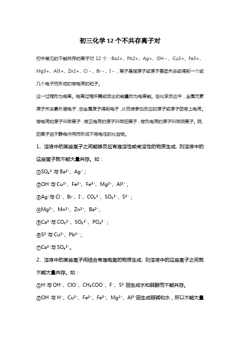 初三化学12个不共存离子对