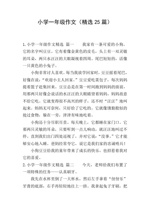 小学一年级作文(精选25篇)