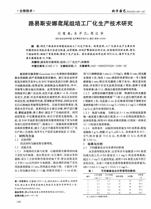 路易斯安娜鸢尾组培工厂化生产技术研究