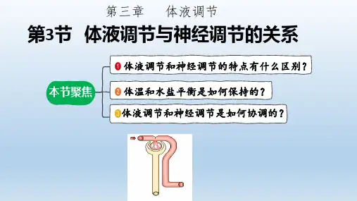 【课件】 体液调节与神经调节的关系课件2022-2023学年高二上学期生物人教版选择性必修1
