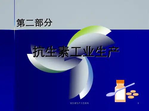 抗生素生产工艺系列