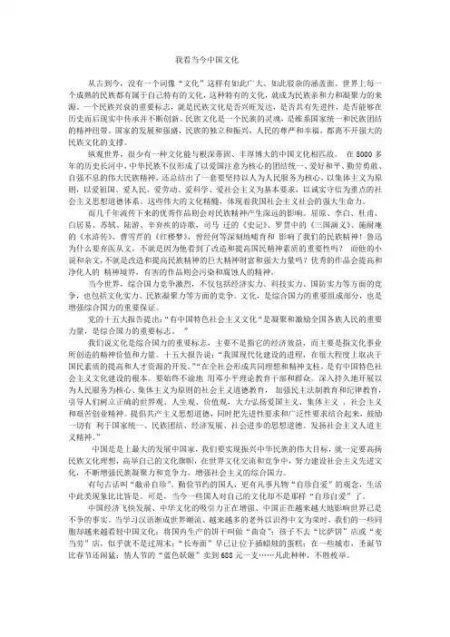 我看当今中国文化