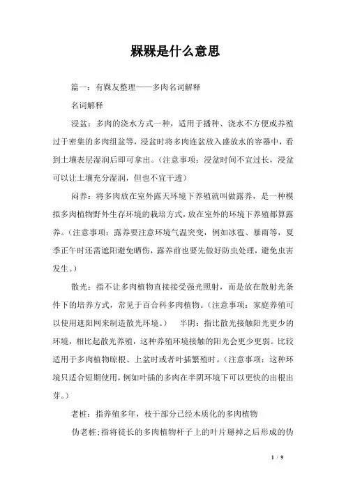 槑槑是什么意思
