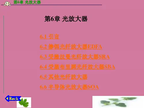 《光放大器》ppt课件