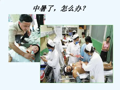 热射病护理查房