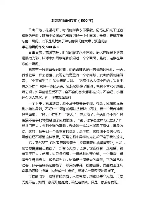 难忘的瞬间作文（500字）