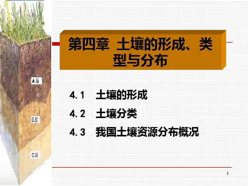 第4章 土壤的形成分类与分布 环境土壤学PPT课件