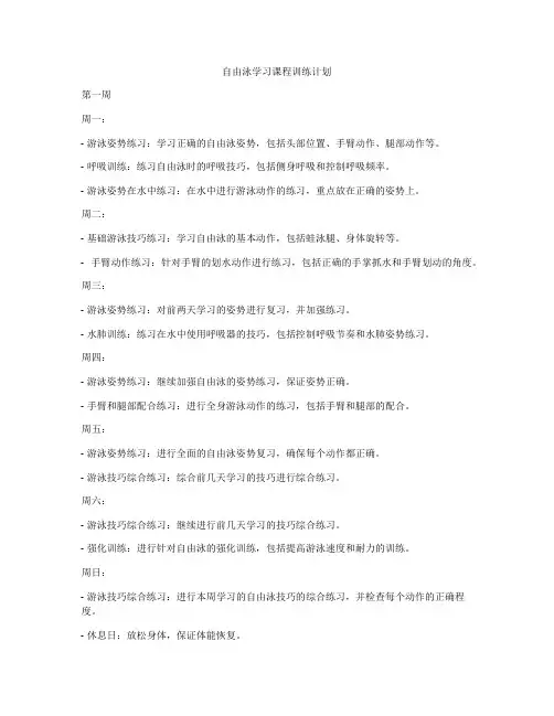 自由泳学习课程训练计划