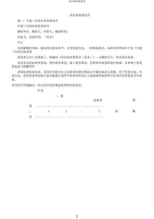 项目商务策划书
